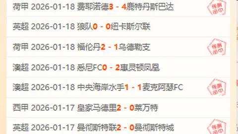 多特3-1逆转胜沃尔夫斯堡，马伦建功哈兰德替补登场