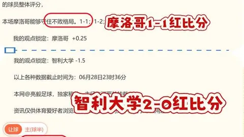 终极对决泰莱之，Bbin宝盈游戏平台，鹰与塔拉纳基空气的二番战