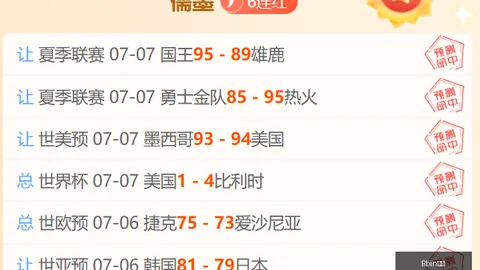德泽尔比战术解析：索兰克展望新赛季，激情满怀